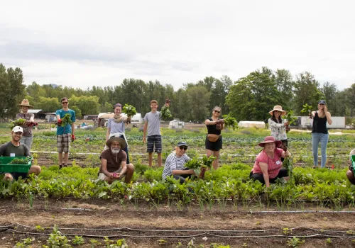 People volunteering in a field